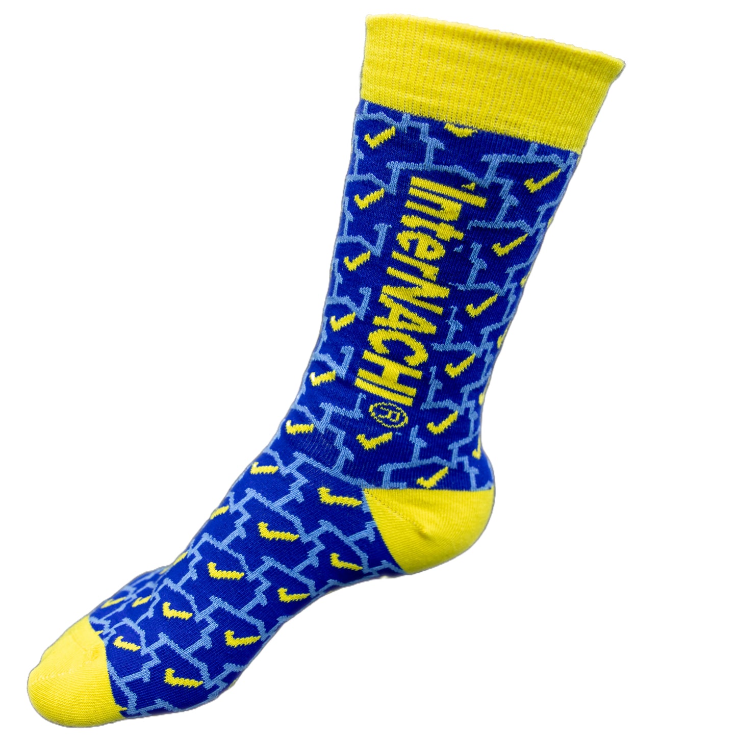 InterNACHI® Socks