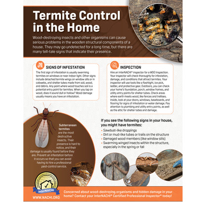 Termite Inspection PDF Flyer & Social Media Graphics