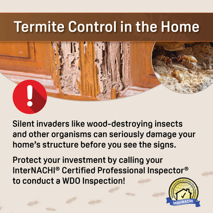 Termite Inspection PDF Flyer & Social Media Graphics