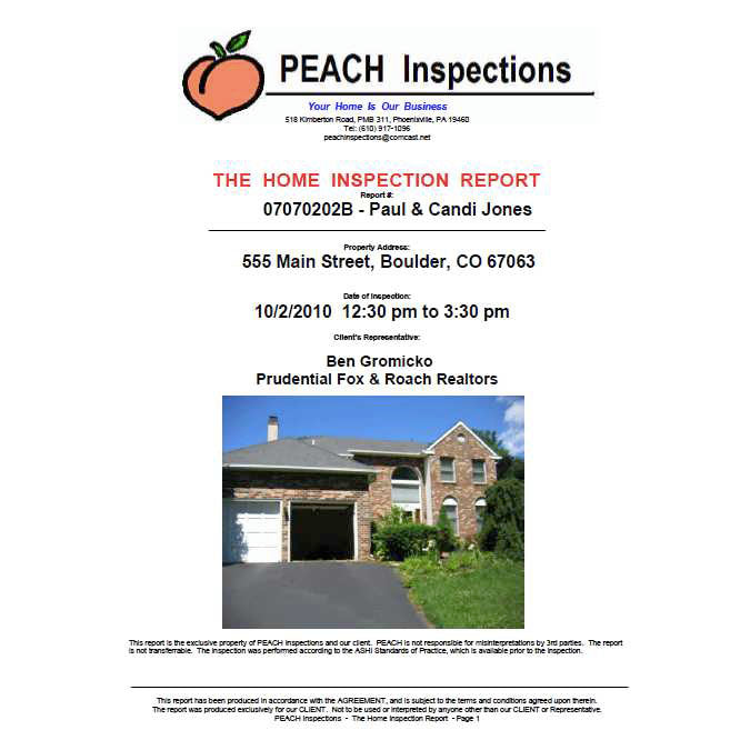 Sample Inspection Reports from Ben Gromicko