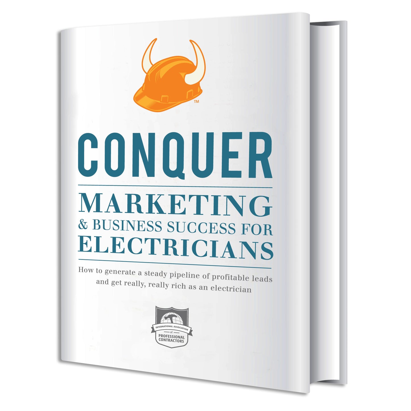 CONQUER Marketing and Business Success for Electricians PDF